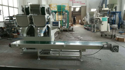 漯河土豆包裝機 瑞利技術開發(fā)的創(chuàng)新與報價解析