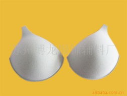 蘇州博龍服飾輔料廠 服飾輔料產品矩陣與衛生潔具銷售業務概覽